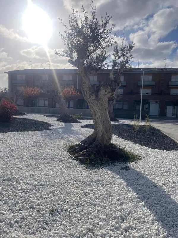 Centro de dia murchante fachadas